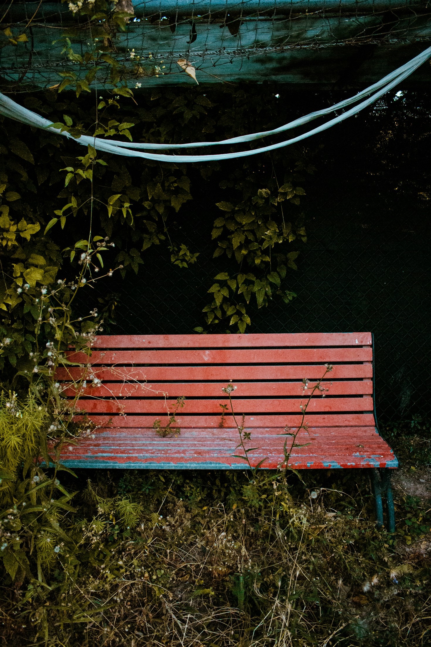 Berättelser från hjärtat: Vad vi kan lära oss