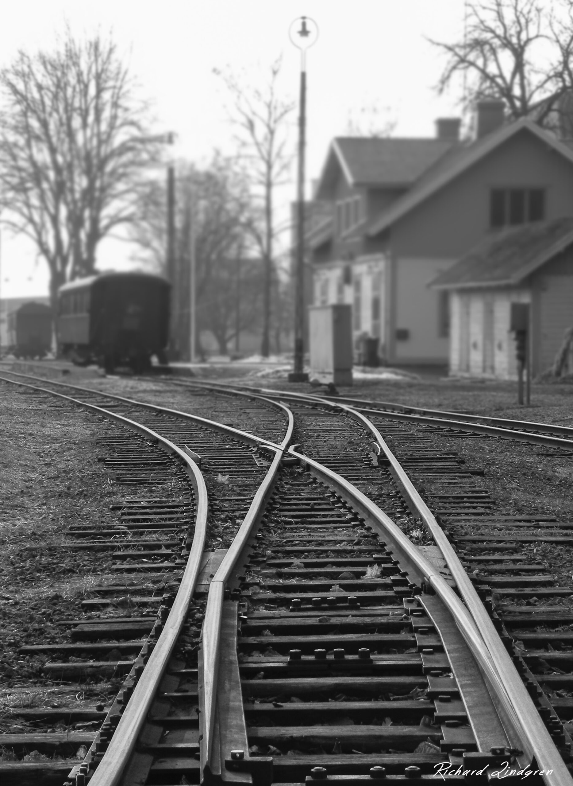 “Att hitta sitt språk”