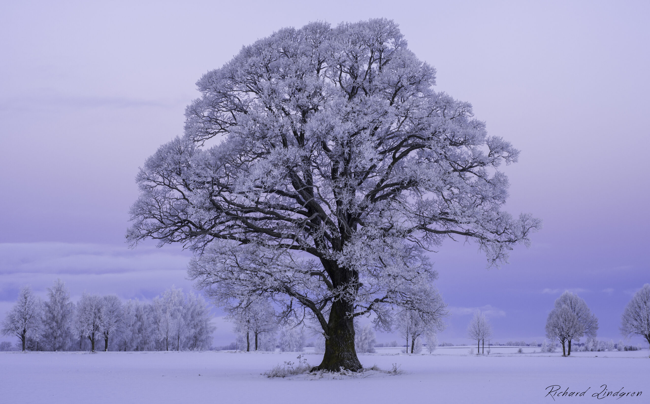 Resa sig upp – små steg som förändrar