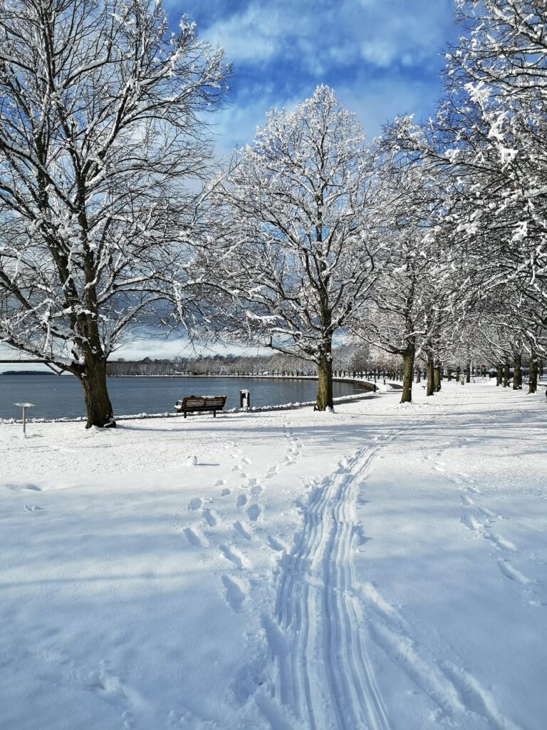 Att bli sedd – i stort och smått