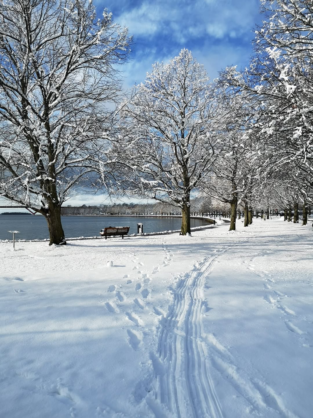 Att bli sedd – i stort och smått