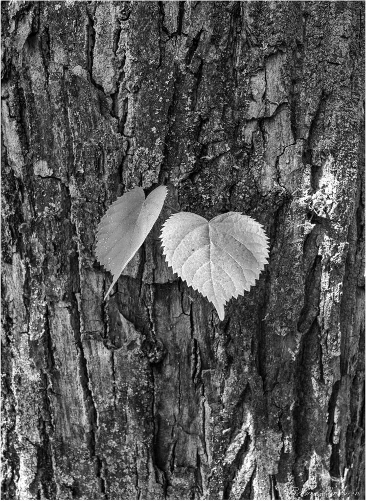 Du & Jag – en resa som började med ett beslut